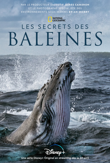 Les Secrets des baleines SAISON 1